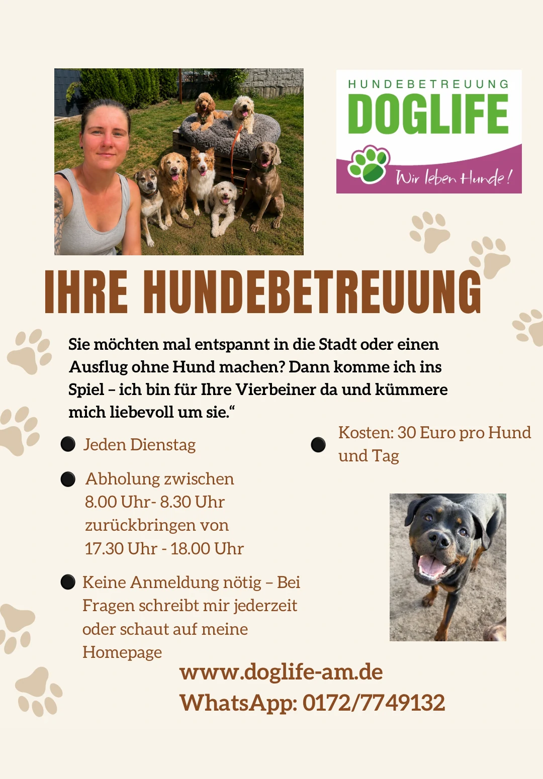 Opieka nad psami DOGLIFE – wypoczynek bez psa