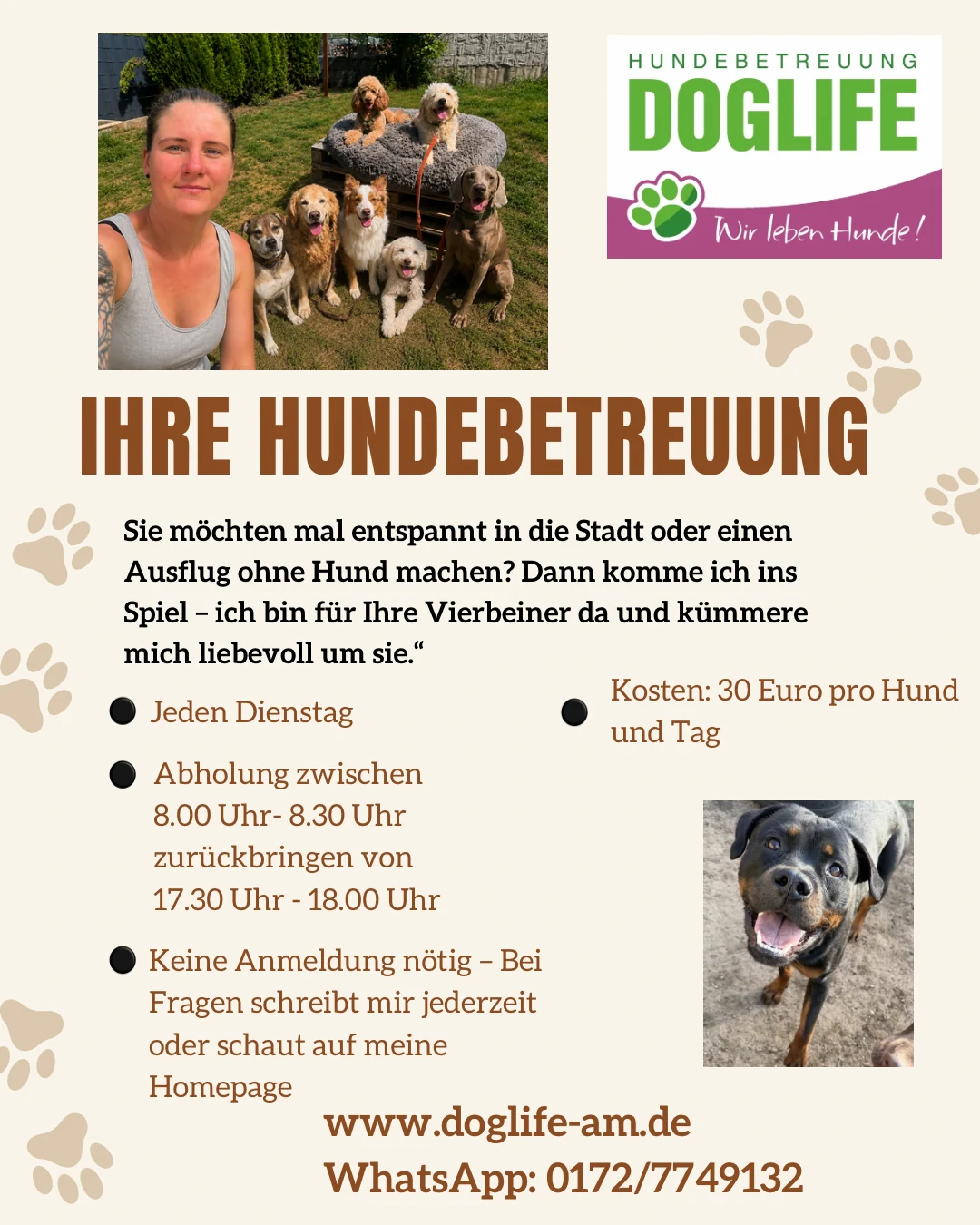 Infoflyer der Hundebetreuung DOGLIFE mit Betreuerin und Hunden