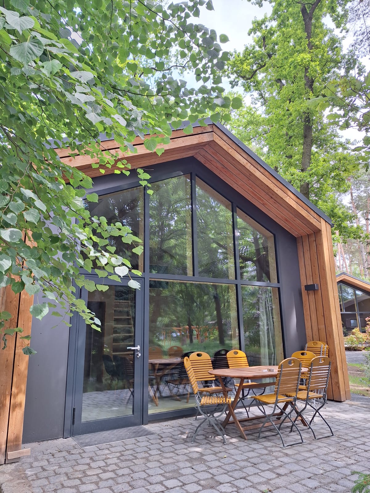 Wohnmobilstellplatz auf dem Naturcampingplatz Brettmühlenteich bei Dresden