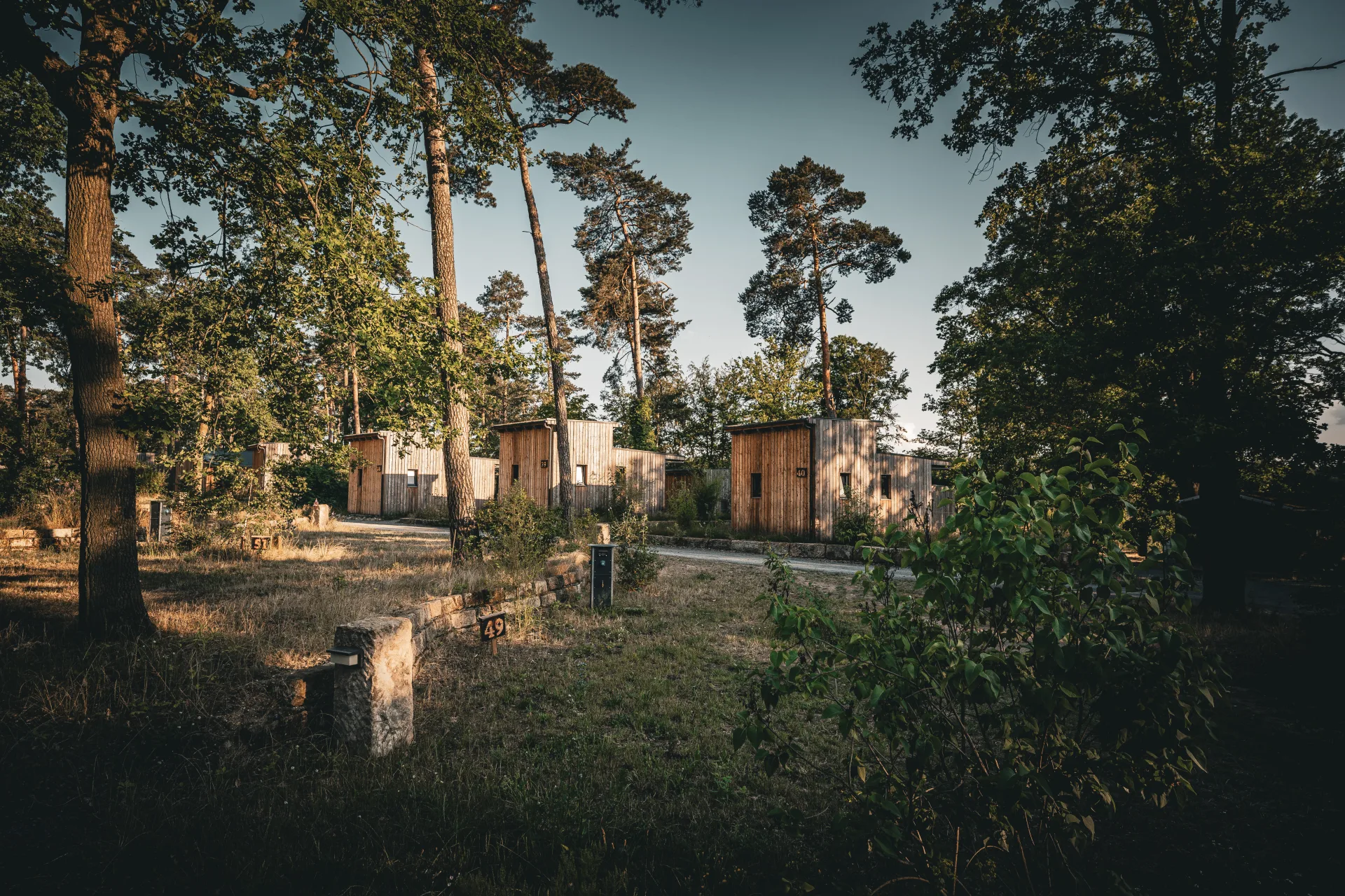 Ferienhäuser unter Kiefern am Naturcamping Brettmühlenteich