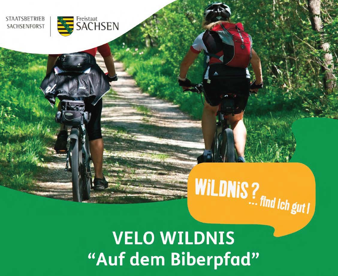 VeloWildnis - Geführte Mountainbike-Touren
