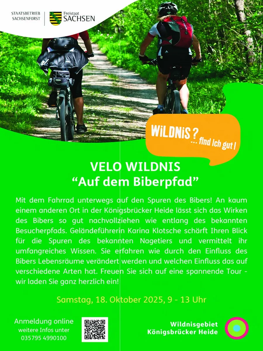 VELO WILDNIS - Fahrradtour auf dem Biberpfad in der Königsbrücker Heide