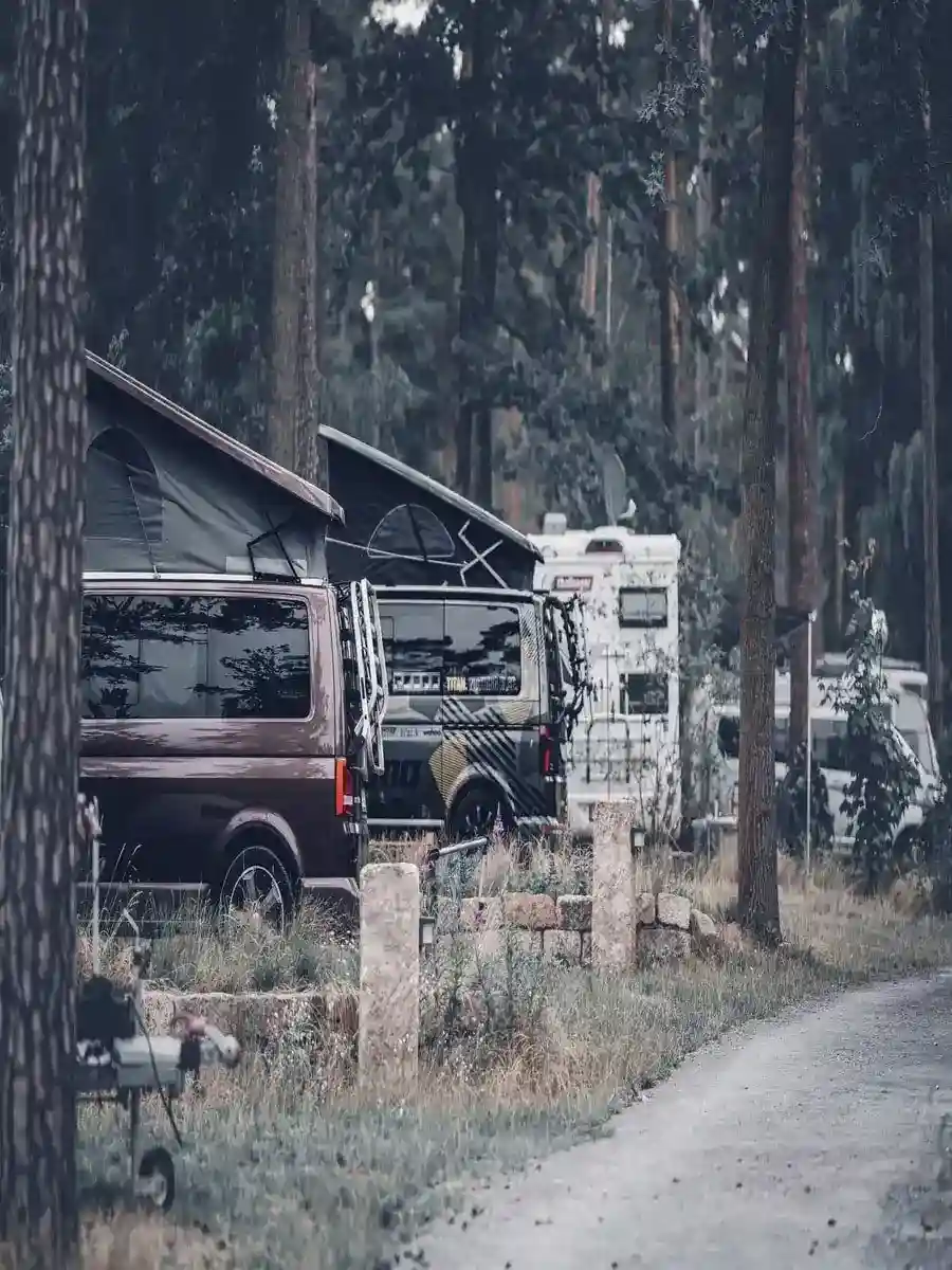 Wohnmobil Stellplätze auf unserem Naturcampingplatz bei Dresden