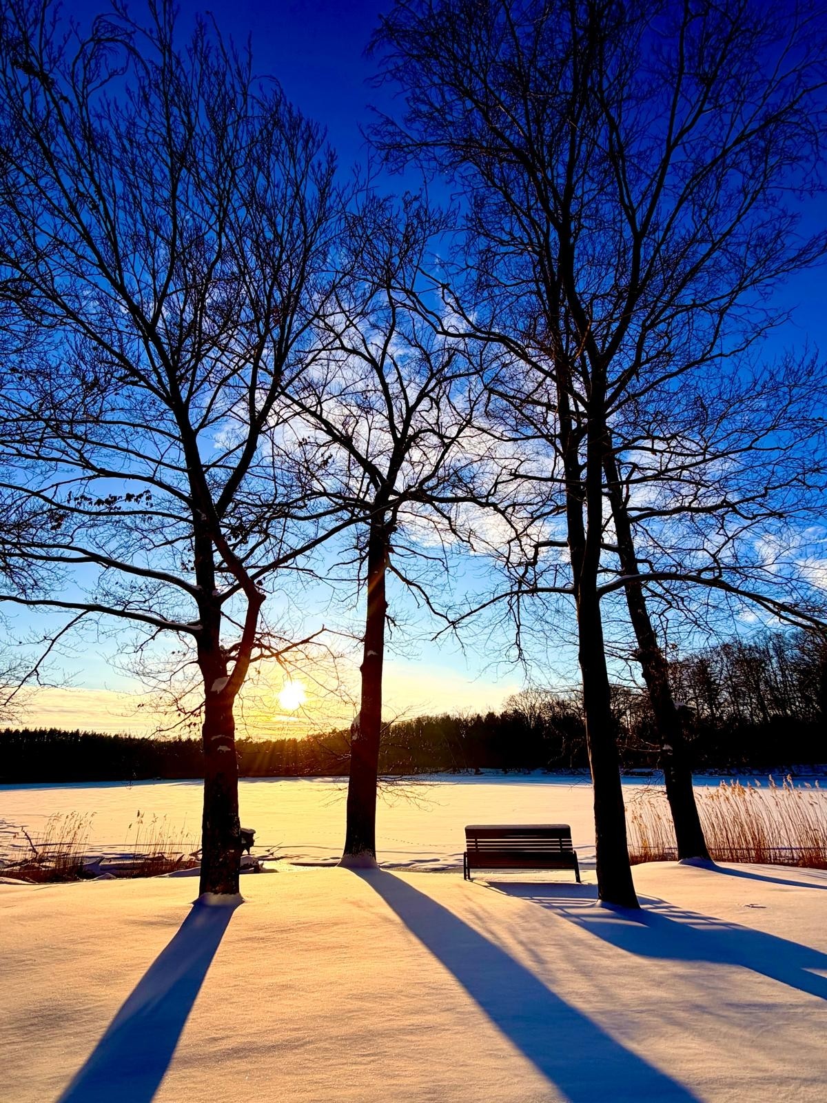 Winterwunderland am Campingplatz Brettmühlenteich
